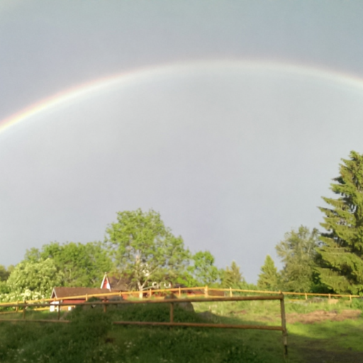 Bengtsboda – Hippo Safety Fence